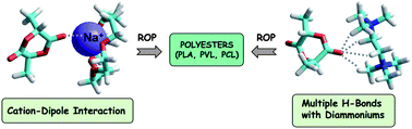 Graphical abstract: Activation of carbonyl bonds by quaternary ammoniums and a (Na+:crown-ether) complex: investigation of the ring-opening polymerization of cyclic esters