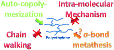 Graphical abstract: Revisiting the long-chain branch formation mechanism in metallocene catalyzed polyethylenes