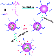 Graphical abstract: Reduction-responsive cross-linked micelles based on PEGylated polypeptides prepared via click chemistry