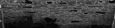 Graphical abstract: Barrier properties of latex/kaolin coatings