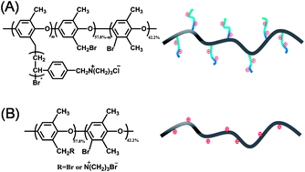 Graphical abstract: Enhancement of hydroxide conduction by self-assembly in anion conductive comb-shaped copolymers