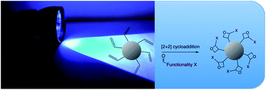 Graphical abstract: UV-induced functionalization of poly(divinylbenzene) nanoparticles via efficient [2 + 2]-photocycloadditions