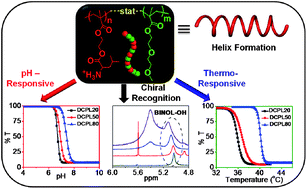 Graphical abstract: Dual pH and temperature responsive helical copolymer libraries with pendant chiral leucine moieties