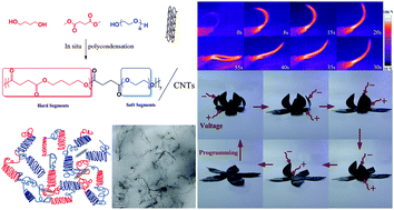 Graphical abstract: A facile method to produce PBS-PEG/CNTs nanocomposites with controllable electro-induced shape memory effect