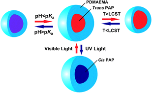 Graphical abstract: Tunable thermo-, pH- and light-responsive copolymer micelles