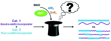 Graphical abstract: Exploration of the effect of 2,6-(t-Bu)2-4-Me-C6H2OH (BHT) in chain shuttling polymerization