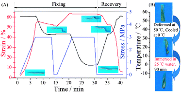 Graphical abstract: Multi-stimuli sensitive shape memory poly(vinyl alcohol)-graft-polyurethane