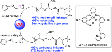 Graphical abstract: Trivalent cobalt complex mediated formation of stereoregular CO2 copolymers from phenyl glycidyl ether