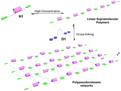 Graphical abstract: Pillar[5]arene-based supramolecular polypseudorotaxane polymer networks constructed by orthogonal self-assembly