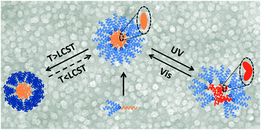 Graphical abstract: Dual thermo- and photo-responsive micelles based on miktoarm star polymers