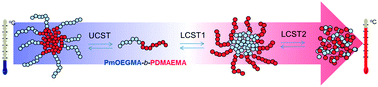 Graphical abstract: A triple thermoresponsive schizophrenic diblock copolymer