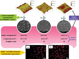 Graphical abstract: Fabrication of carbon nanotube (CNT)/poly(3-hydroxybutyrate-co-3-hydroxyhexanoate) (PHBHHx) nanocomposite films for human mesenchymal stem cell (hMSC) differentiation