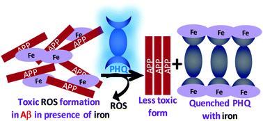 Graphical abstract: A rapid and sensitive detection of ferritin at a nanomolar level and disruption of amyloid β fibrils using fluorescent conjugated polymer