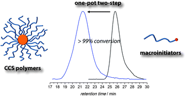 Graphical abstract: Quantitative formation of core cross-linked star polymers via a one-pot two-step single electron transfer-living radical polymerization