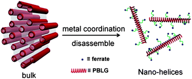 Graphical abstract: Metal coordination induced disassembly of polypeptides affords electrochemically active hybrid nano-helices