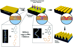 Graphical abstract: Reversible photo-controlled mass transfer in a photo-responsive conjugated main-chain polymer film for high contrast surface patterning