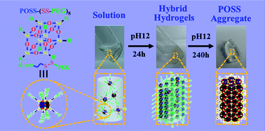 Graphical abstract: Controlled cross-linking strategy: from hybrid hydrogels to nanoparticle macroscopic aggregates