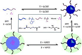 Graphical abstract: Reversibly crosslinked thermo- and redox-responsive nanogels for controlled drug release