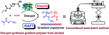 Graphical abstract: Synthesis of gradient copolymers by concurrent enzymatic monomer transformation and RAFT polymerization