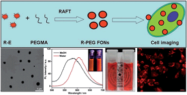 Graphical abstract: Cross-linkable aggregation induced emission dye based red fluorescent organic nanoparticles and their cell imaging applications