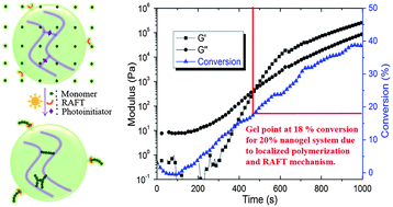 Graphical abstract: Photo-reactive nanogels as a means to tune properties during polymer network formation