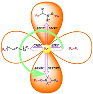 Graphical abstract: Versatility of radical coupling in construction of topological polymers