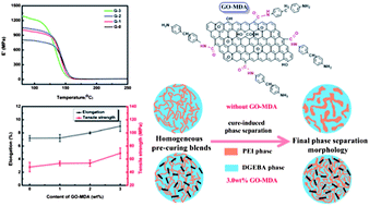 Graphical abstract: Effect of chemically modified graphene oxide on the phase separation behaviour and properties of an epoxy/polyetherimide binary system