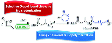 Graphical abstract: Selective O-acyl ring-opening of β-butyrolactone catalyzed by trifluoromethane sulfonic acid: application to the preparation of well-defined block copolymers