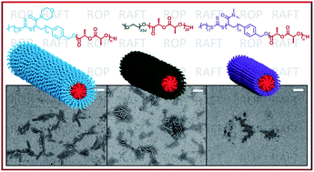 Graphical abstract: Expanding the scope of the crystallization-driven self-assembly of polylactide-containing polymers