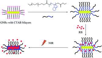 Graphical abstract: Gold nanorods coated with a thermo-responsive poly(ethylene glycol)-b-poly(N-vinylcaprolactam) corona as drug delivery systems for remotely near infrared-triggered release