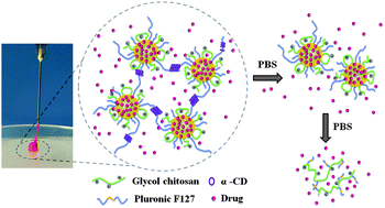 Graphical abstract: Versatile injectable supramolecular hydrogels containing drug loaded micelles for delivery of various drugs