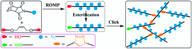 Graphical abstract: A “click” approach to facile synthesis of long-chain highly branched ROMP polymers