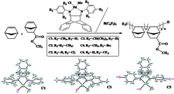 Graphical abstract: Substituent effects and activation mechanism of norbornene polymerization catalyzed by three-dimensional geometry α-diimine palladium complexes