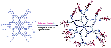 Graphical abstract: Carbohydrate globules: molecular asterisk-cored dendrimers for carbohydrate presentation