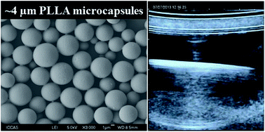 Graphical abstract: Fabrication of uniform sized polylactone microcapsules by premix membrane emulsification for ultrasound imaging