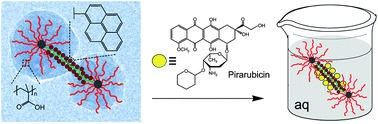 Graphical abstract: Development of amphiphilic multi-star polymers with highly grafted pyrene connectors as unimolecular encapsulation devices