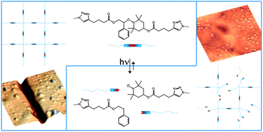 Graphical abstract: Introduction of self-healing properties into covalent polymer networks via the photodissociation of alkoxyamine junctions