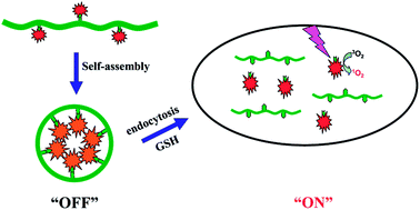 Graphical abstract: Photosensitizer-conjugated redox-responsive dextran theranostic nanoparticles for near-infrared cancer imaging and photodynamic therapy