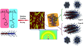 Graphical abstract: Cooperative and selective self-assembly behaviors of diblock copolypeptides in nanoscale thin films