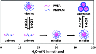 Graphical abstract: Thermo-responsive ABA triblock copolymer of PVEA-b-PNIPAM-b-PVEA showing solvent-tunable LCST in a methanol–water mixture