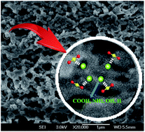 Graphical abstract: Robust tri(4-ethynylphenyl)amine-based porous aromatic frameworks for carbon dioxide capture