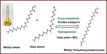 Graphical abstract: Thermoplastic polyesters and Co-polyesters derived from vegetable oil: synthesis and optimization of melt polycondensation for medium and long chain poly(ω-hydroxyfatty acid)s and their ester derivatives