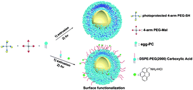 Graphical abstract: Multifunctional lipid-coated polymer nanogels crosslinked by photo-triggered Michael-type addition