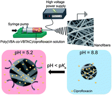 Graphical abstract: pH-responsive nanofibers with controlled drug release properties