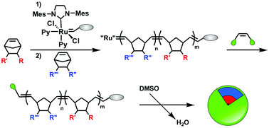 Graphical abstract: Labelling polymers and micellar nanoparticles via initiation, propagation and termination with ROMP