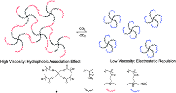 Graphical abstract: Use of a switchable hydrophobic associative polymer to create an aqueous solution of CO2-switchable viscosity