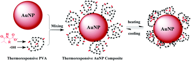 Graphical abstract: Thermoresponsive poly(vinyl alcohol) derivatives: preparation, characterization and their capability of dispersing gold nanoparticles