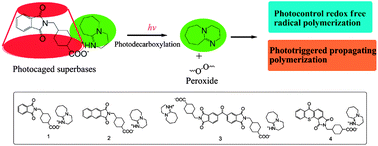 Graphical abstract: N-Phthaloyltranexamic acid ammonium salt derivatives as photocaged superbase for redox free radical photopolymerization