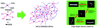 Graphical abstract: Novel triple-shape PCU/PPDO interpenetrating polymer networks constructed by self-complementary quadruple hydrogen bonding and covalent bonding