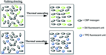 Graphical abstract: Formation and properties of liquid crystalline supramolecules with anisotropic fluorescence emission